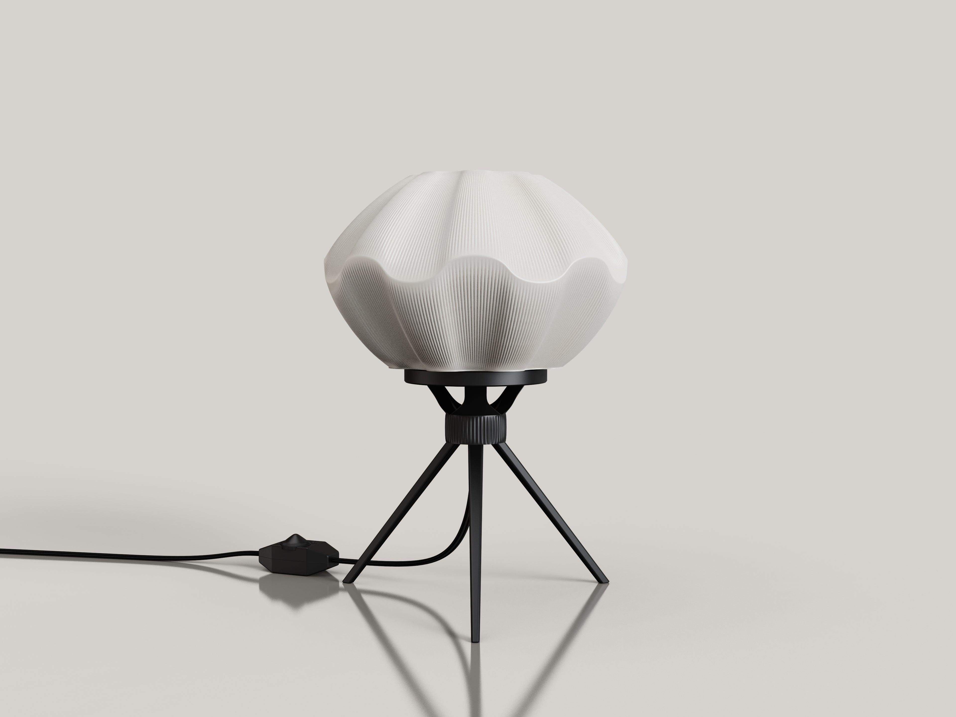 shell lamp